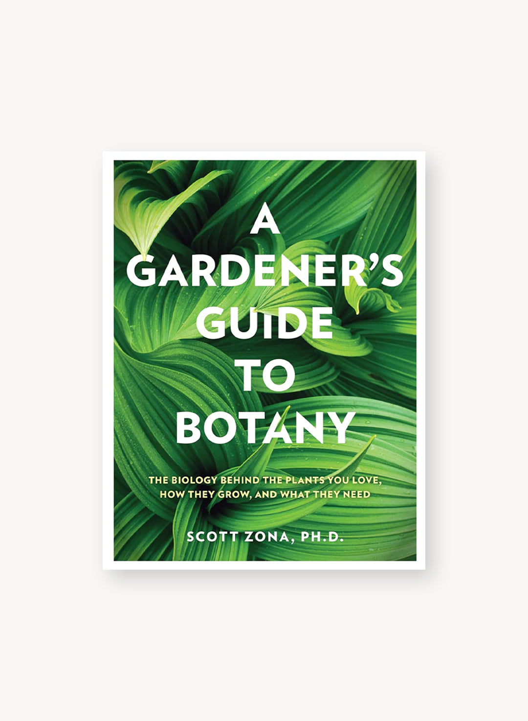 A Gardener's Guide to Botany: The biology behind the plants you love, how  they grow, and what they need