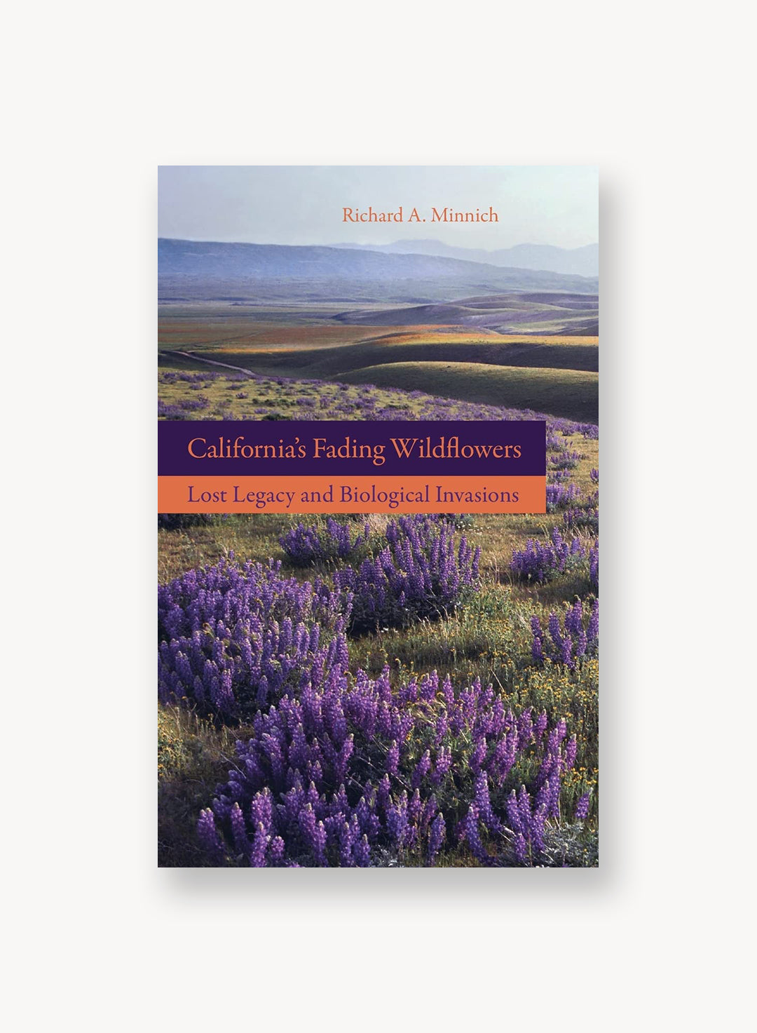 California’s Fading Wildflowers Lost Legacy and Biological Invasions