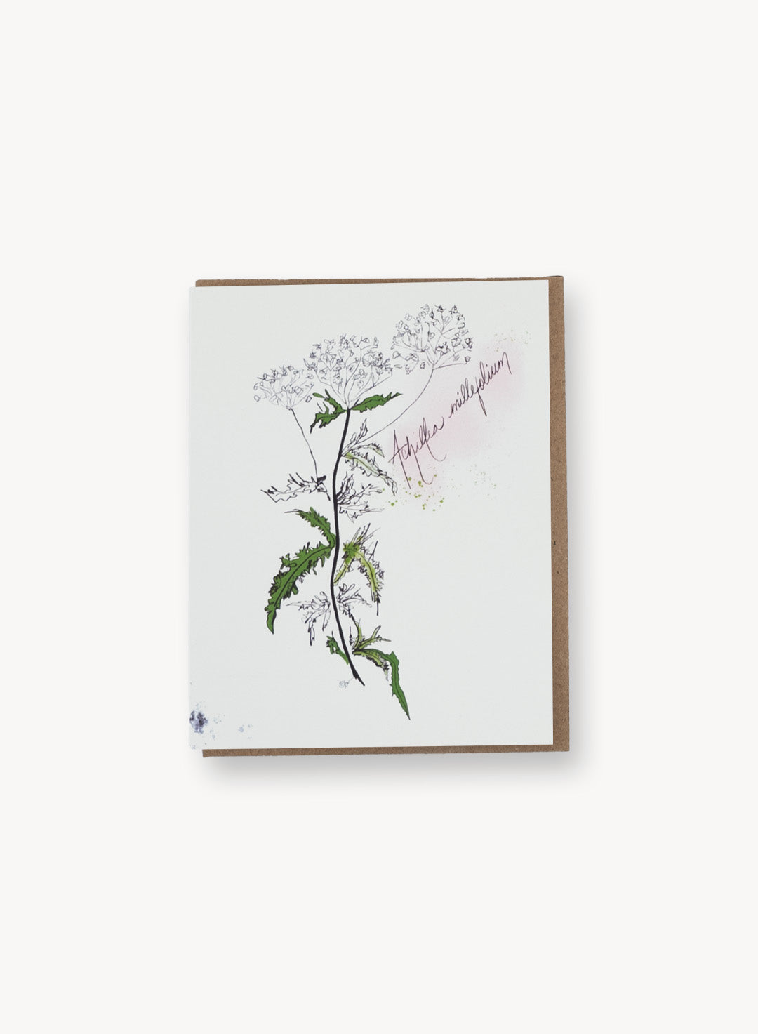 Garden Butterfly Notecard