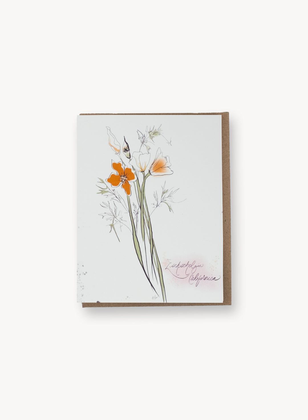 Garden Butterfly Notecard