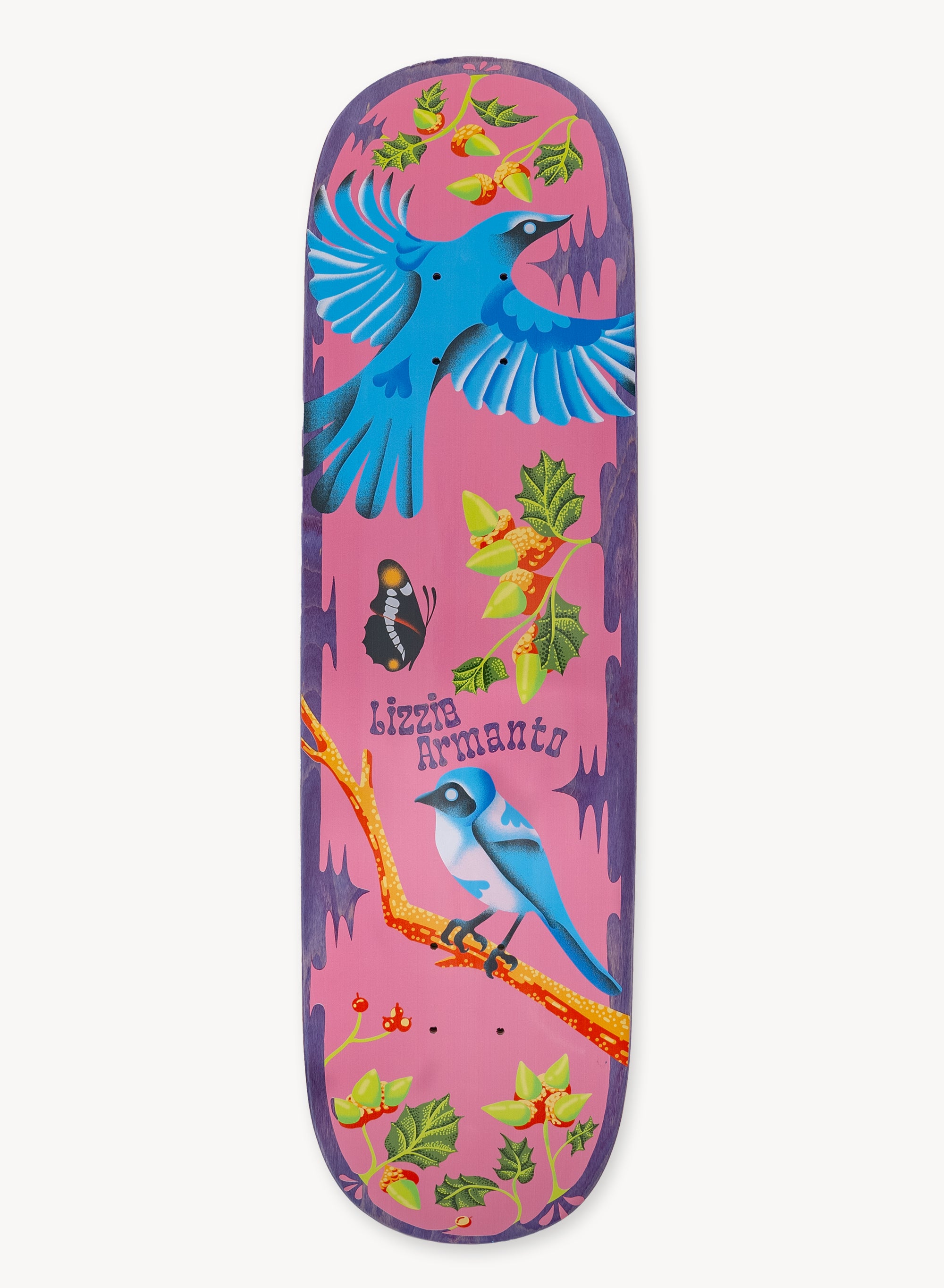 Need For Seed Bird Skating Birb Tee Shirt For Skateboarding Need For Seed Bird Skating Birb Tee Shirt For Skateboarding
