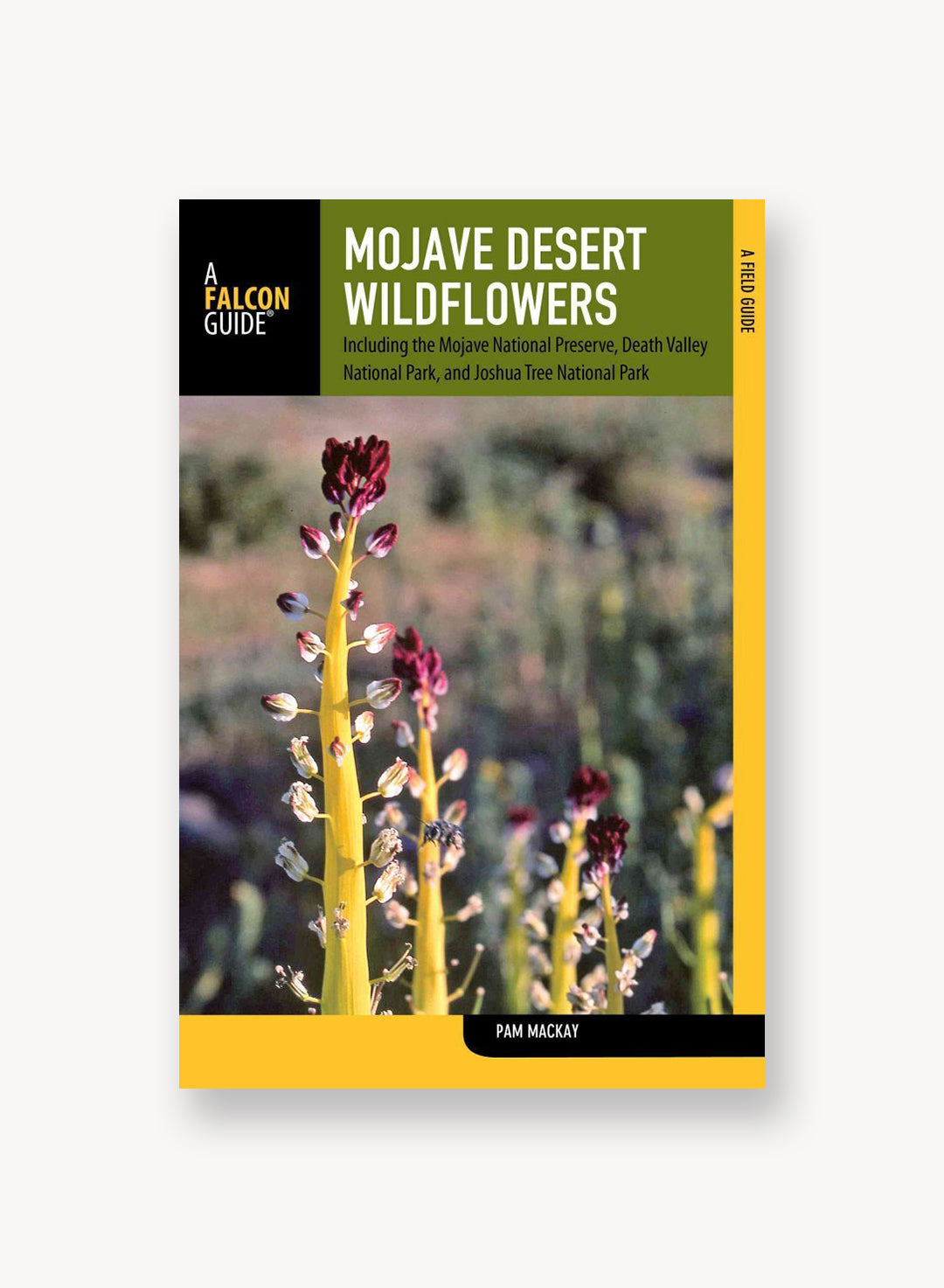 MojaveDesertWildflowers.jpg
