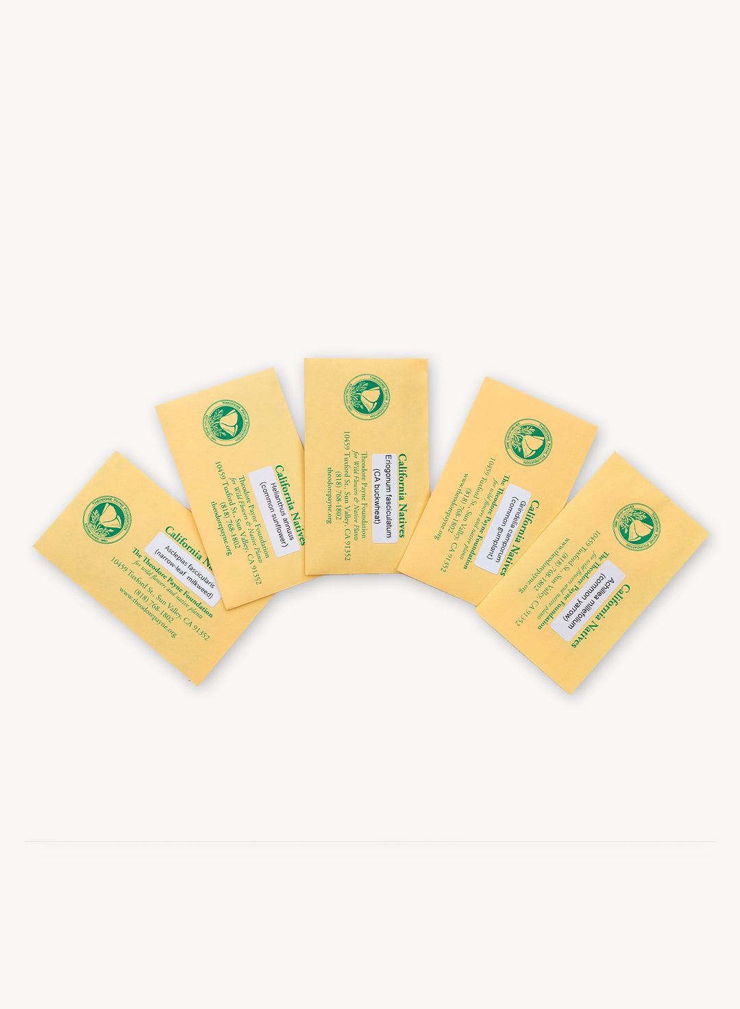 Monarch Sanctuary Seed Collection