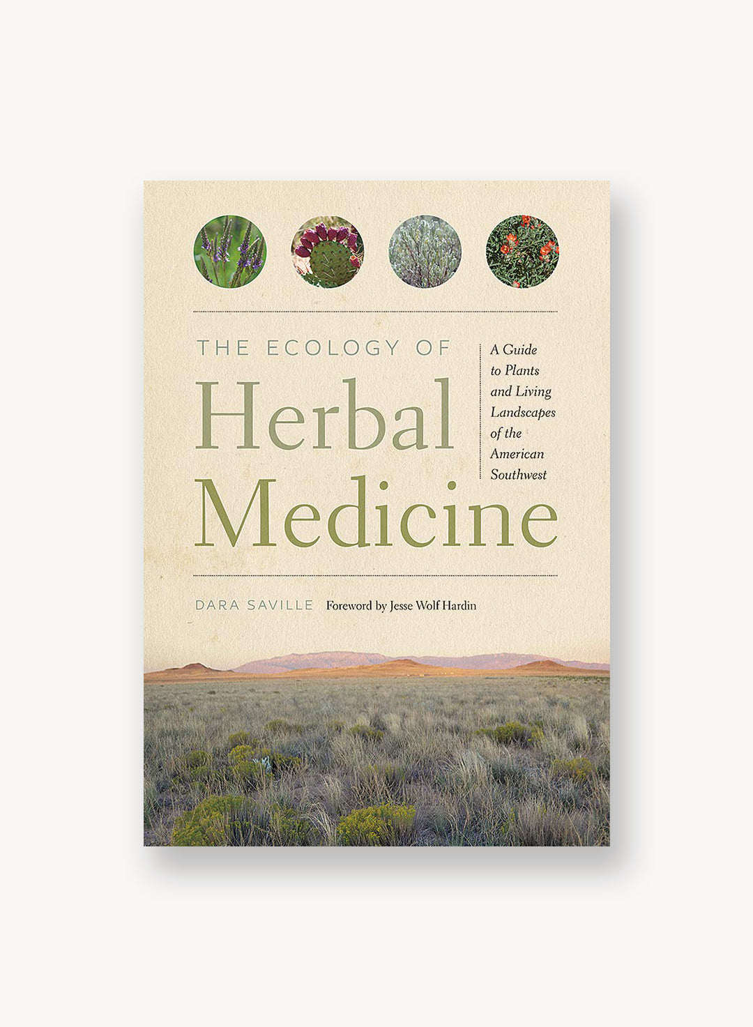 The Ecology of Herbal Medicine: A Guide to Plants and Living