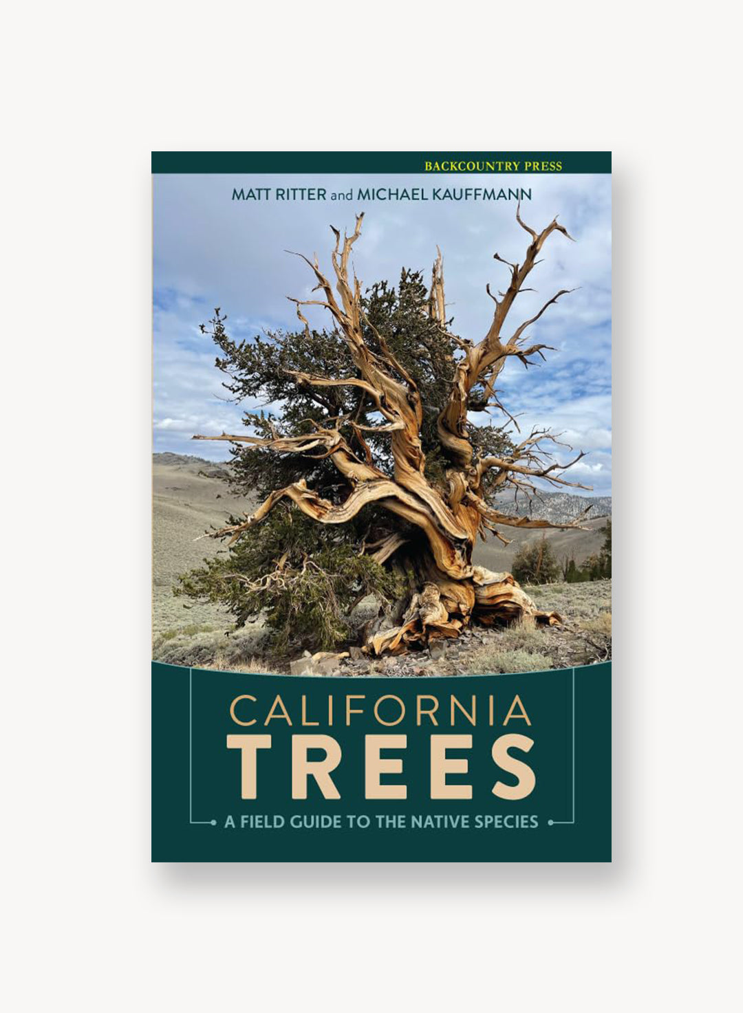 California Trees: A field guide to the native species