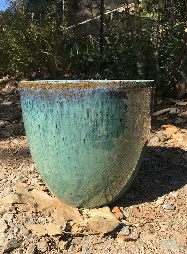 Pot
