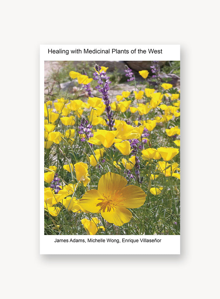 healing-with-medicinal-plants.jpg