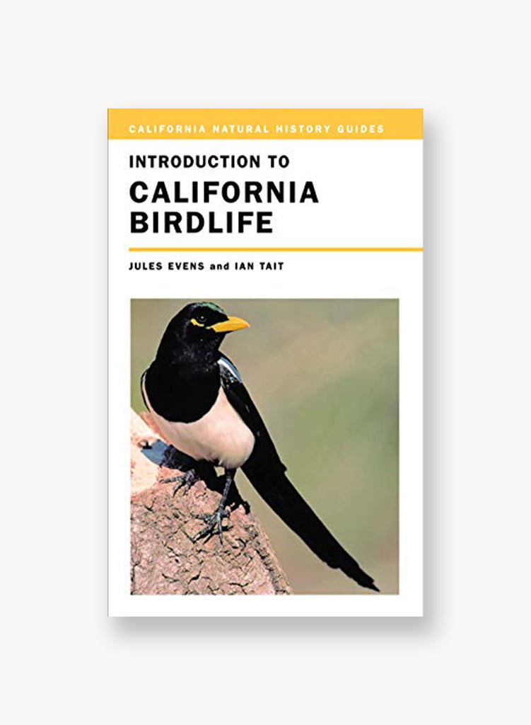 introduction-to-ca-birdlife.jpg