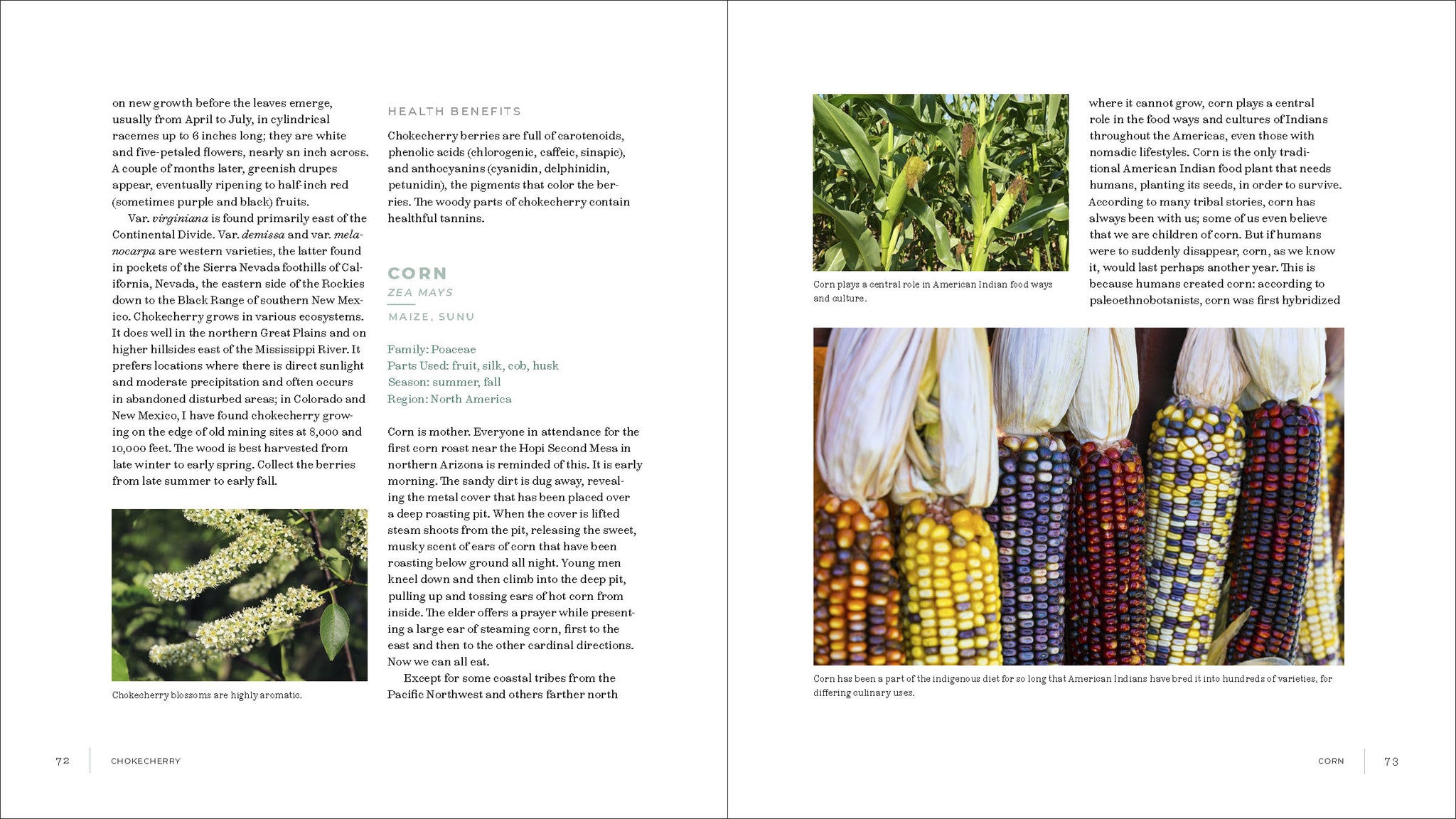 Iwigara: The Kinship of Plants and People