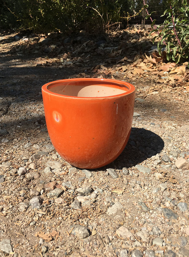 small orange plant pots Pot