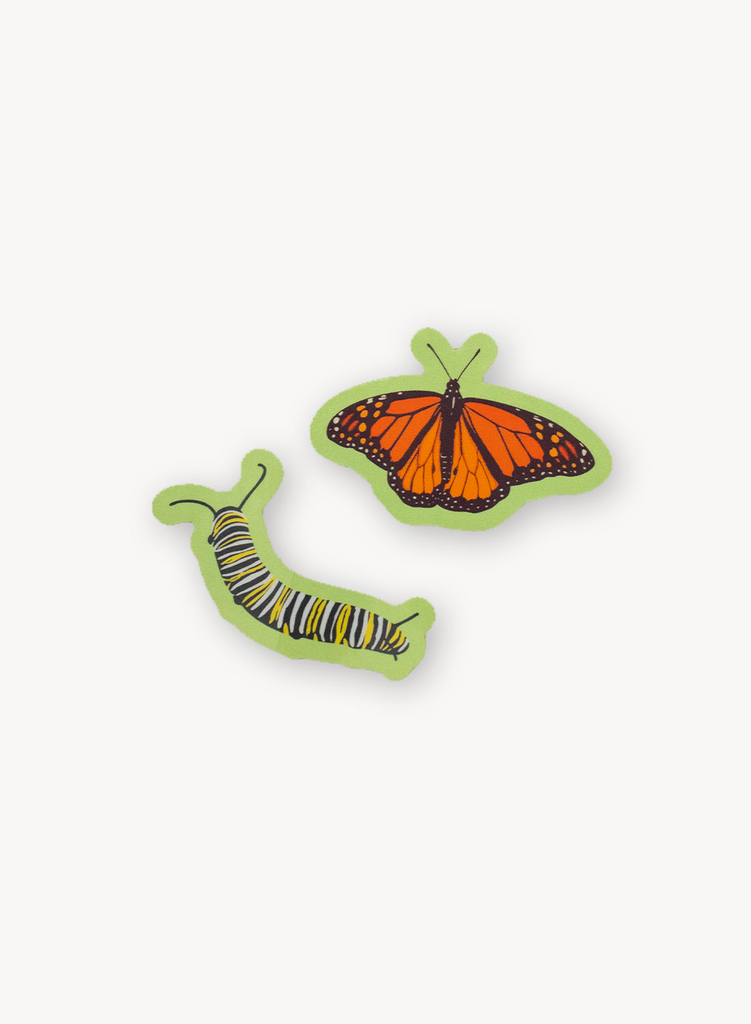 Monarch Sanctuary Seed Collection