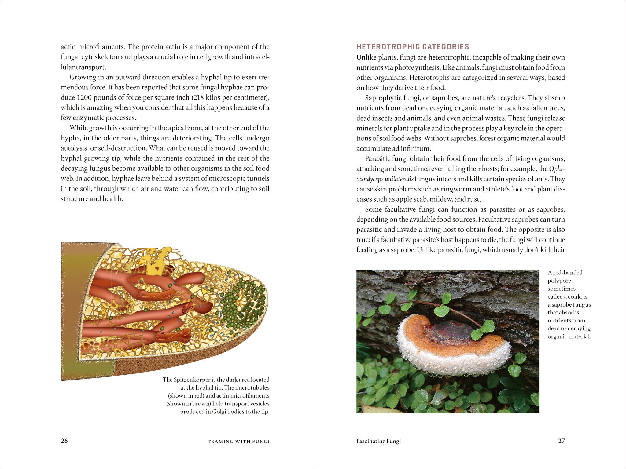 Teaming With Fungi: The Organic Grower's Guide to Mycorrhizae