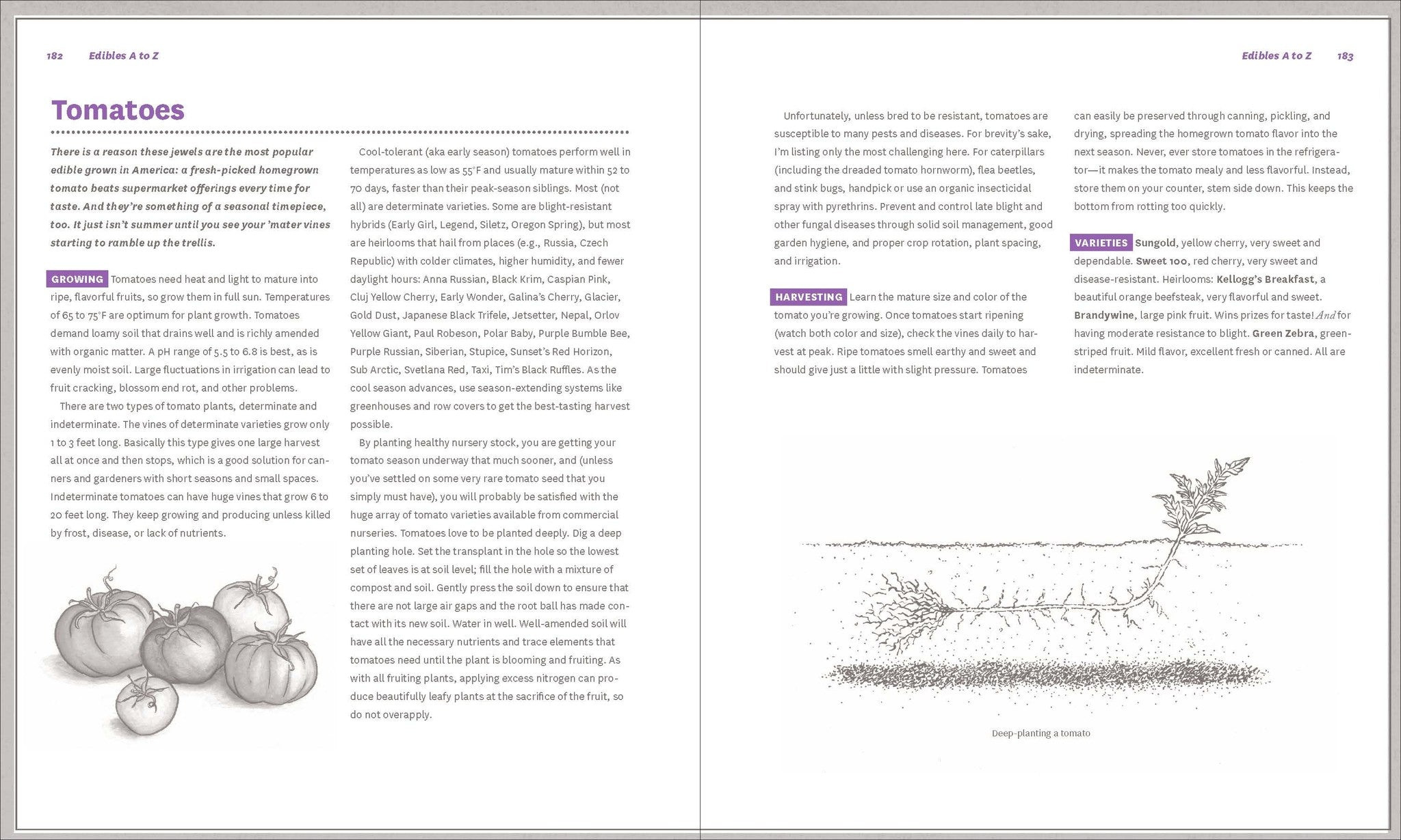 The Timber Press Guide to Vegetable Gardening in Southern California