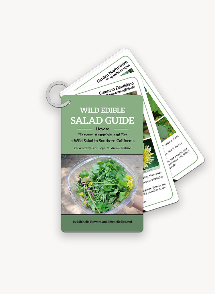 Wild Edible Salad Guide: How to Harvest, Assemble, and Eat a Wild Salad in Southern California