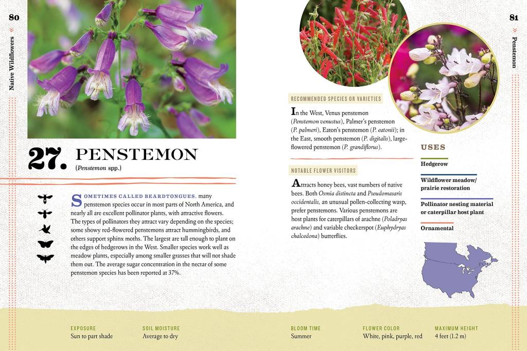 100 Plants to Feed The Bees