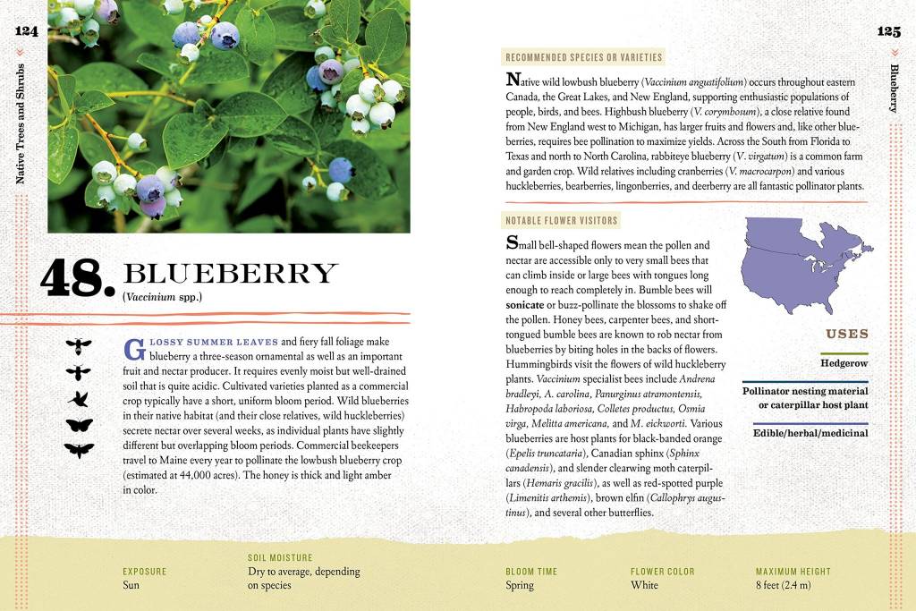 100 Plants to Feed The Bees