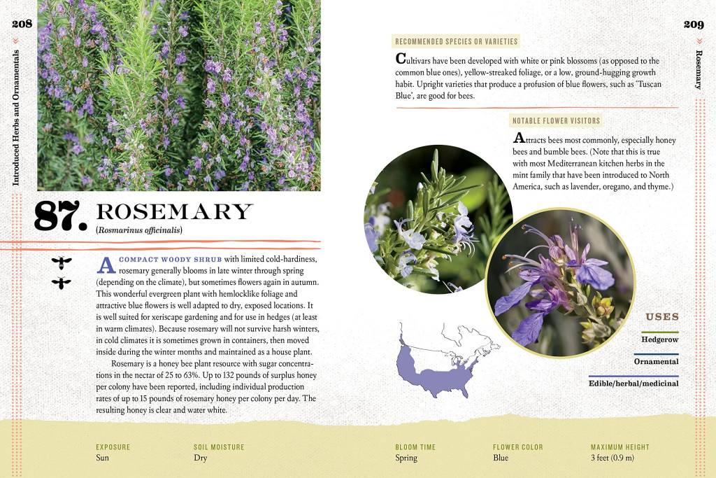 100 Plants to Feed The Bees
