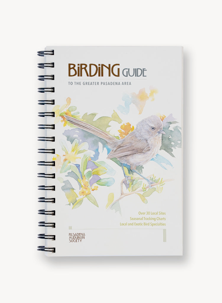 birding-guide-audubon-greater-pasadena.jpg