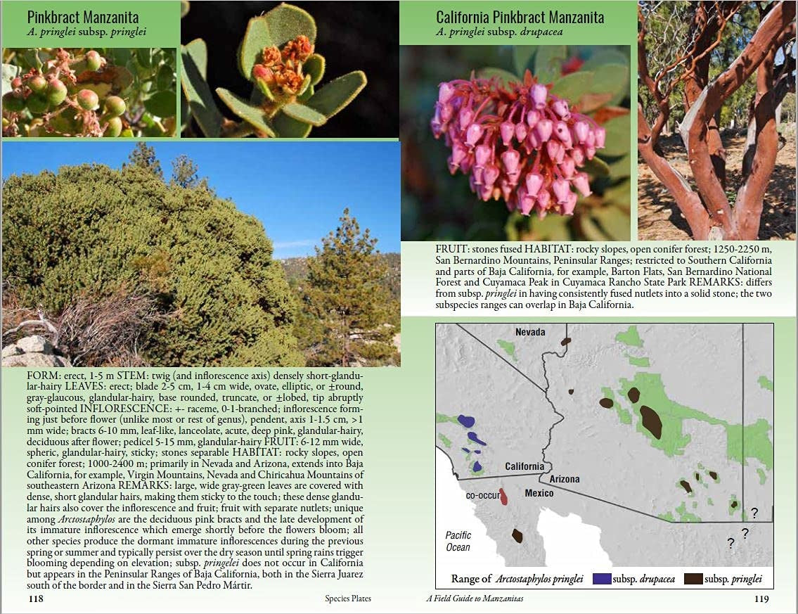 Field Guide to Manzanitas: California, North America and Mexico