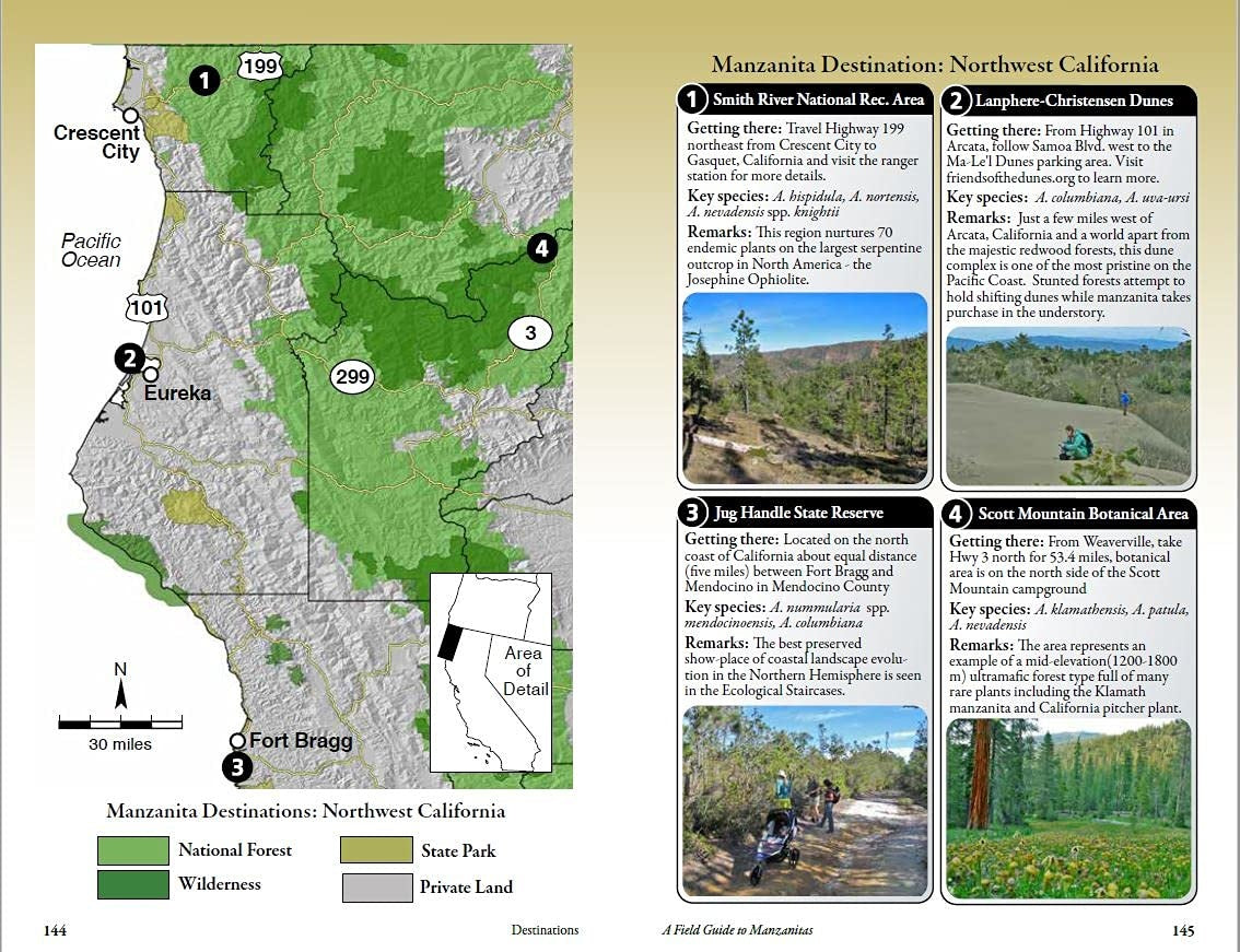 Field Guide to Manzanitas: California, North America and Mexico