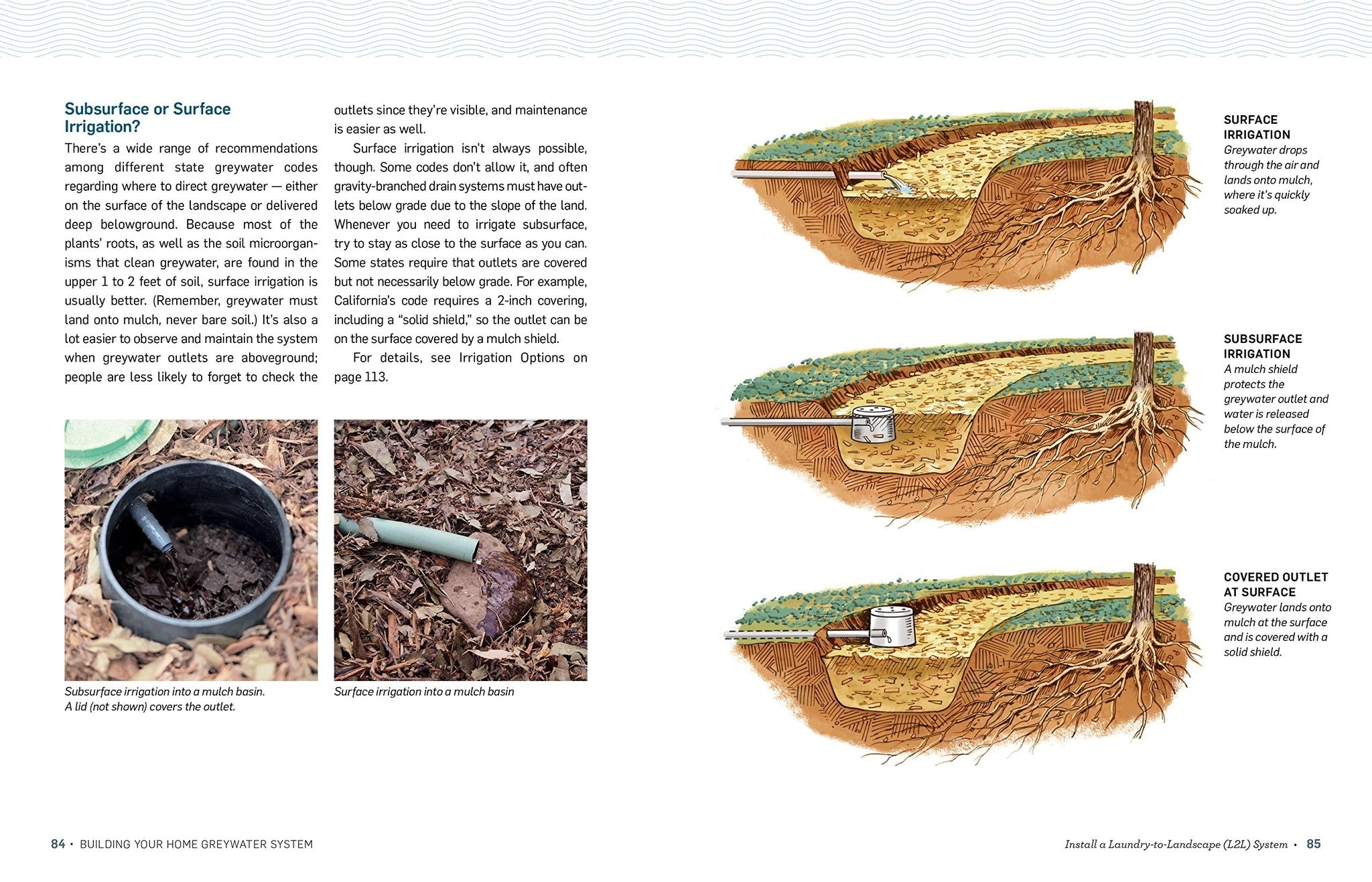 Greywater Green Landscape