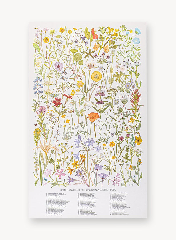 May We Fly — Watercolor Wildflowers Art Print