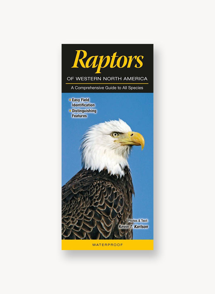 The Sibley Field Guide to Birds of Western North America: Second