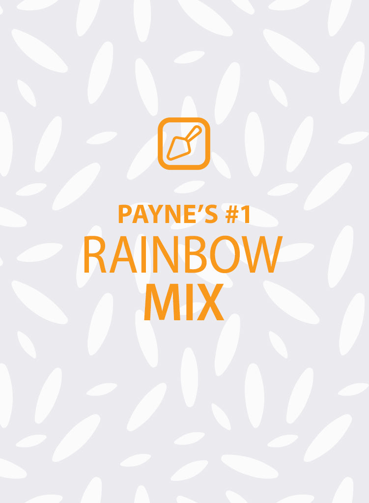 rainbow-mix-seeds-751x1024.jpg