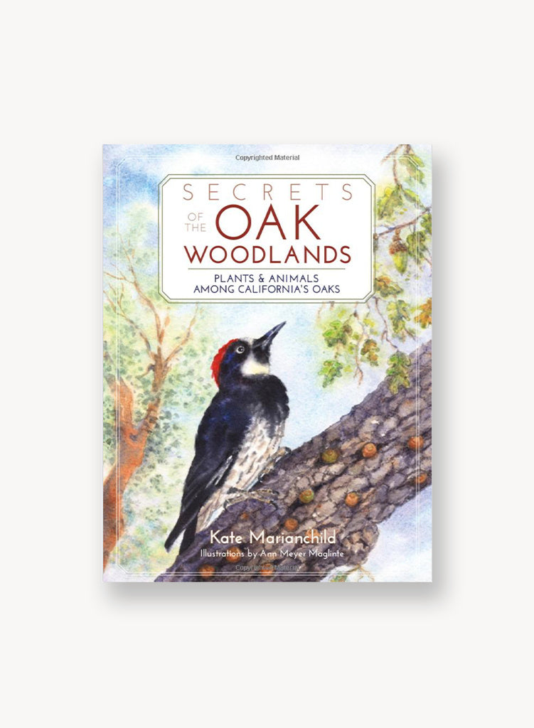 Secrets of the Oak Woodlands: Plants and Animals Among