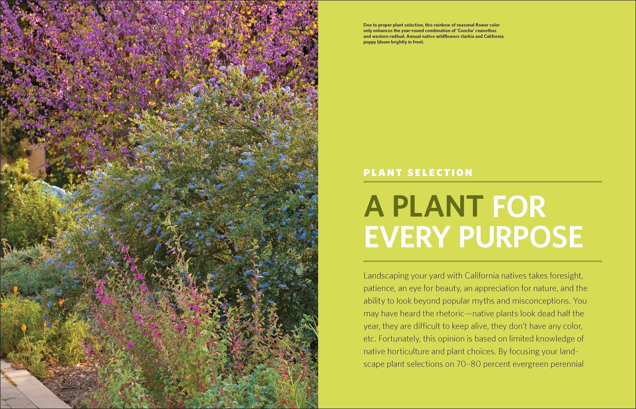 The Drought-Defying California Garden