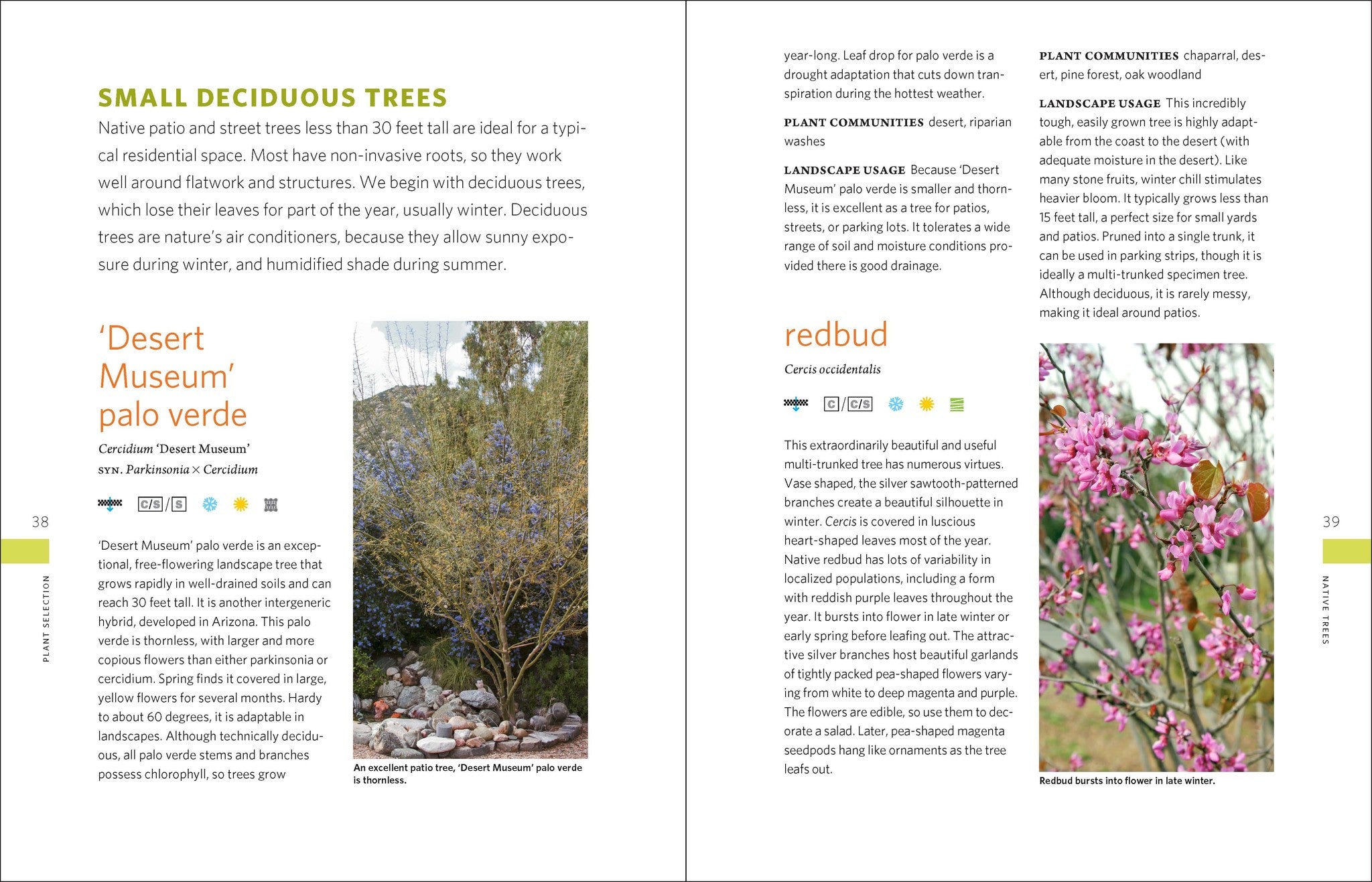 The Drought-Defying California Garden