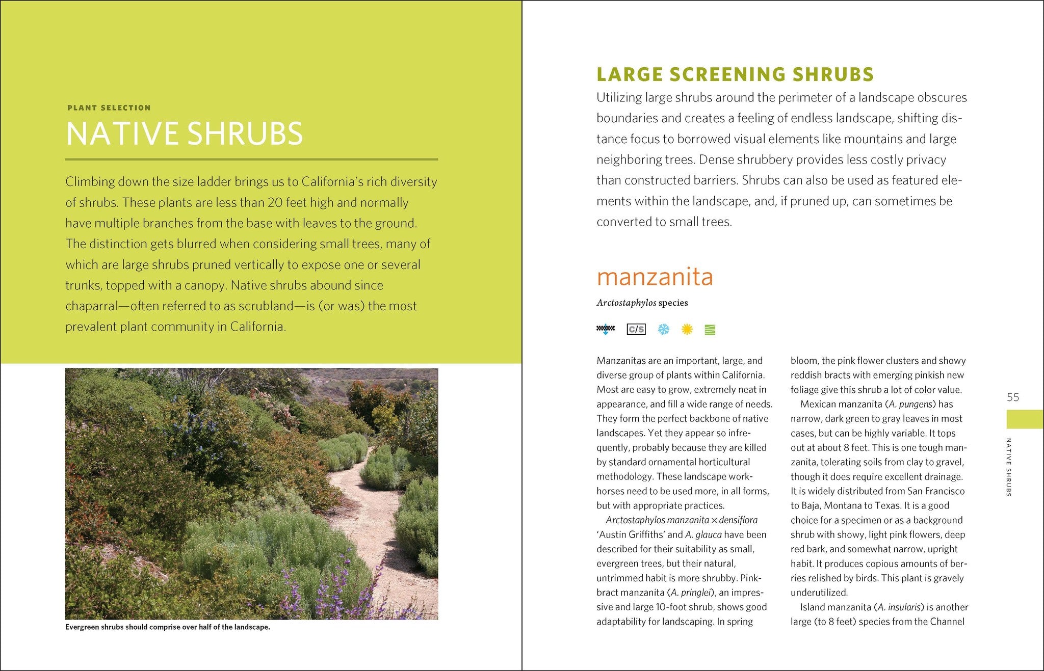 The Drought-Defying California Garden