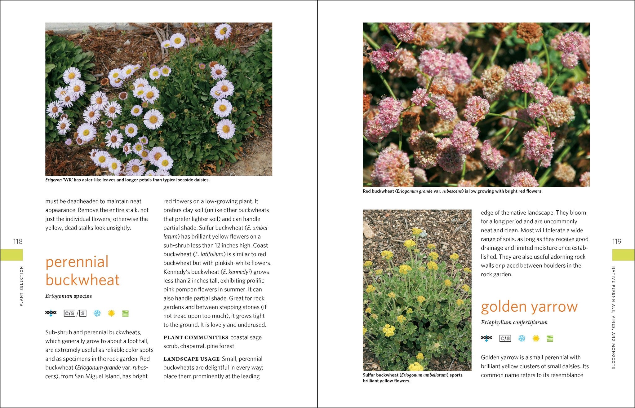 The Drought-Defying California Garden
