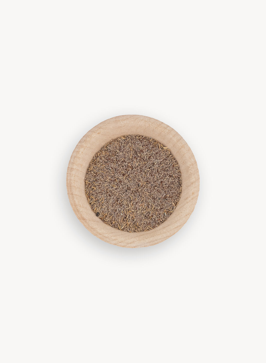 Agrostis pallens - Bent Grass (Seed)