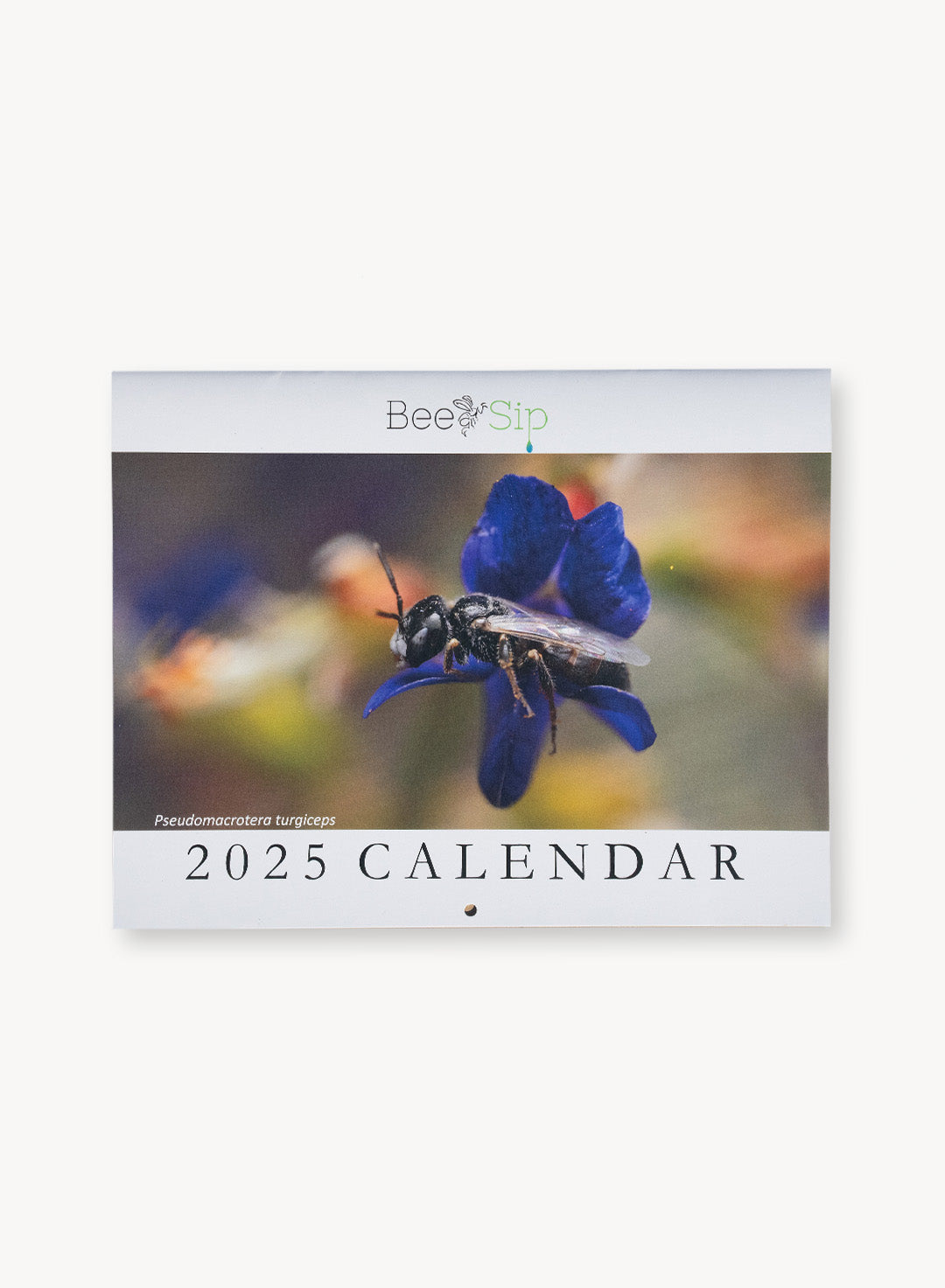 2025_BeeCalendar-1.jpg