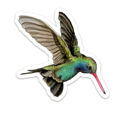 Broad-billed Hummingbird Sticker
