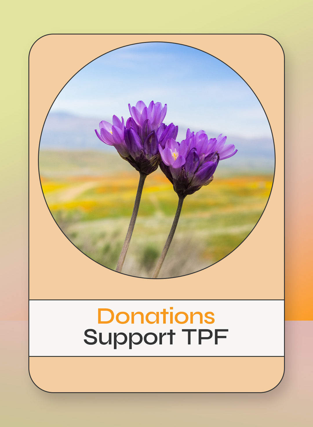 Donations.jpg
