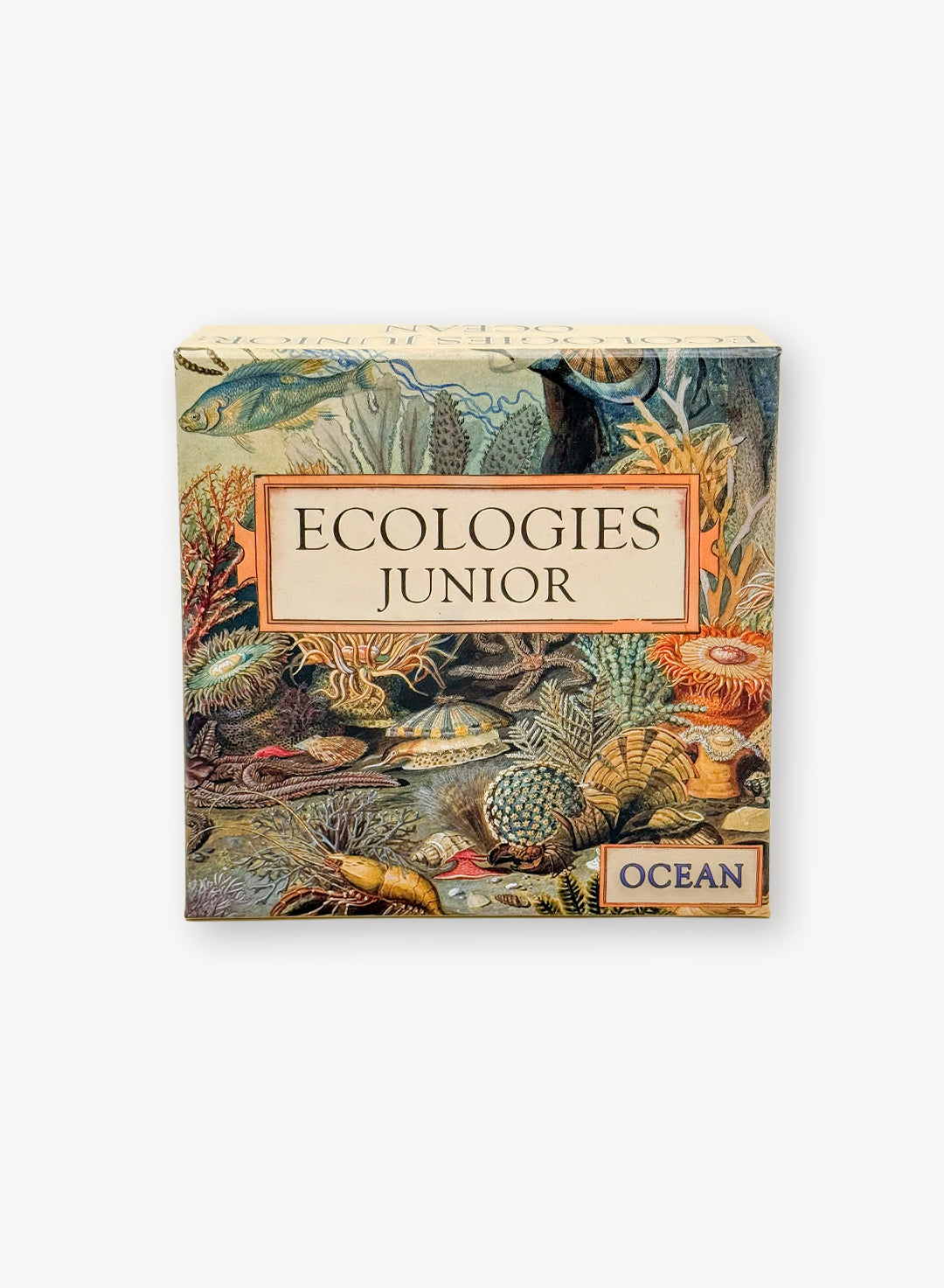 Ecologies Junior: Ocean