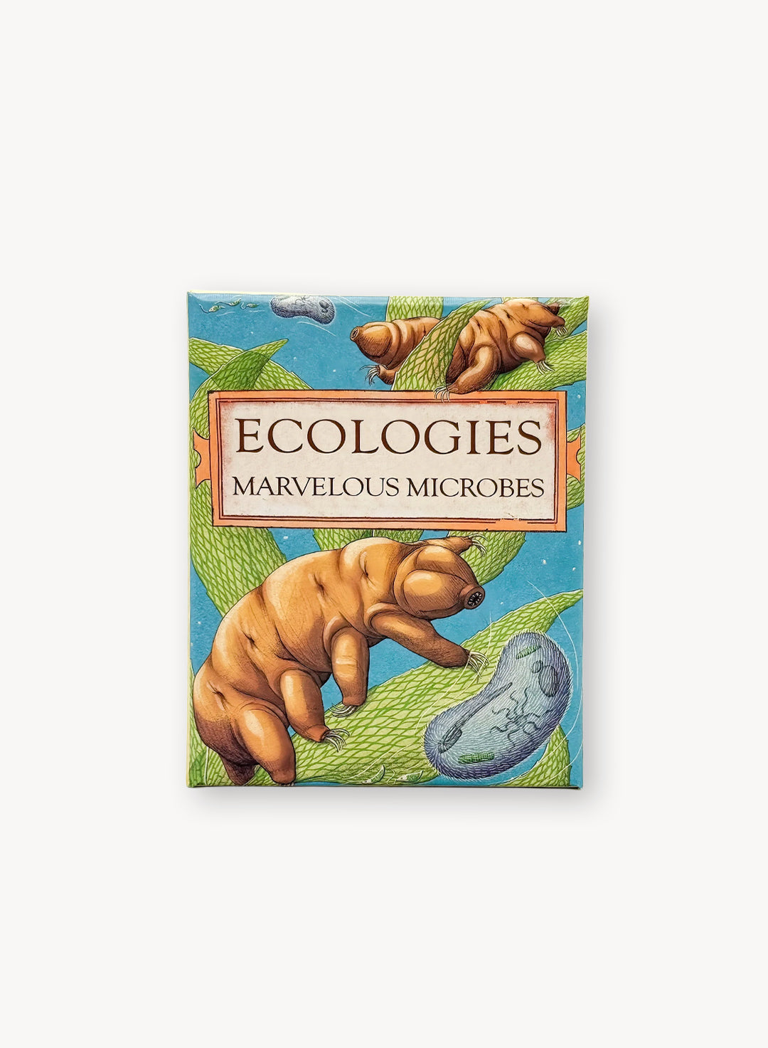 Ecologies: Marvelous Microbes