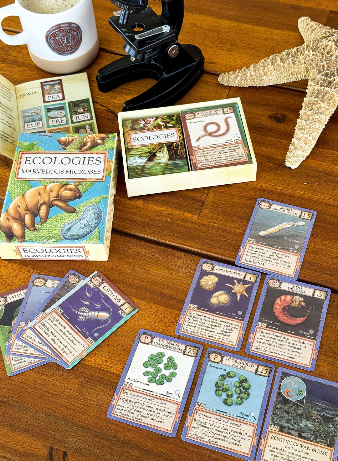 Ecologies: Marvelous Microbes
