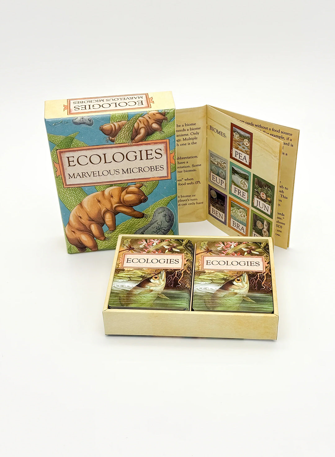 Ecologies: Marvelous Microbes