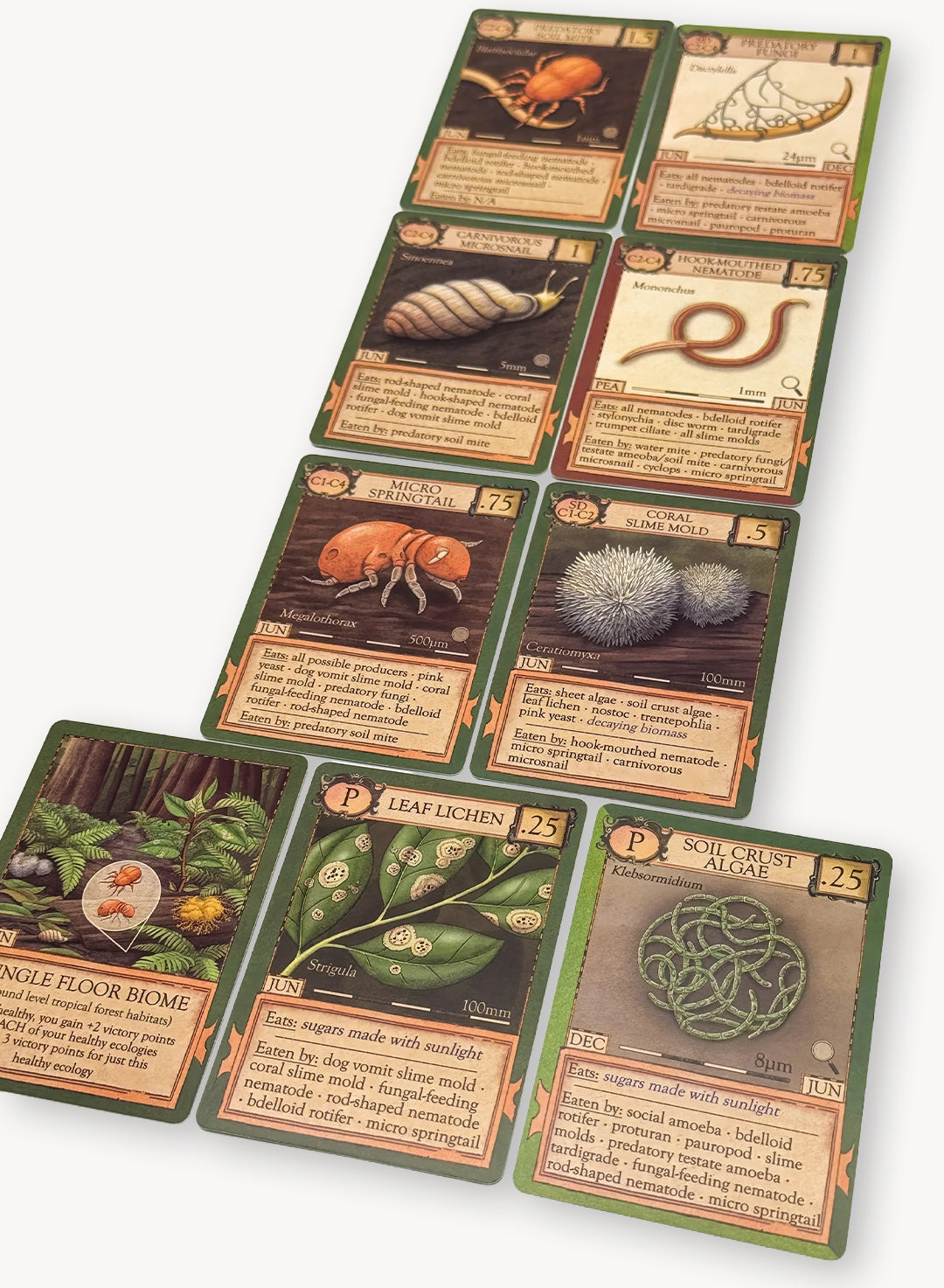 Ecologies: Marvelous Microbes