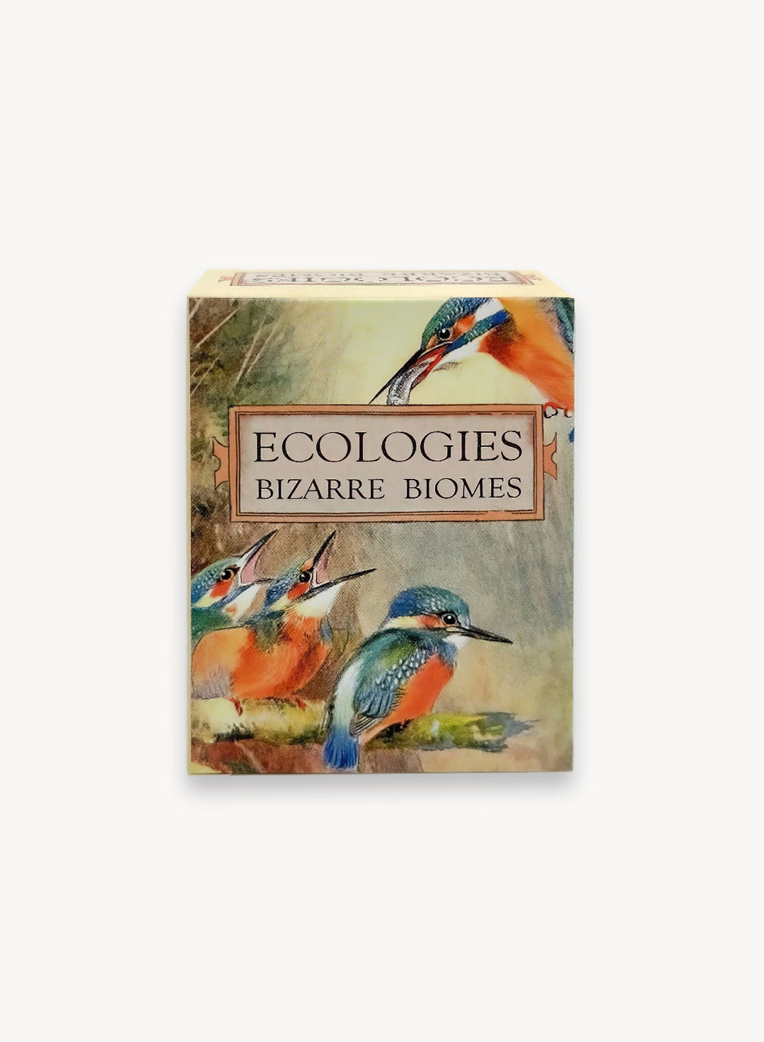 Ecologies: Bizarre Biomes