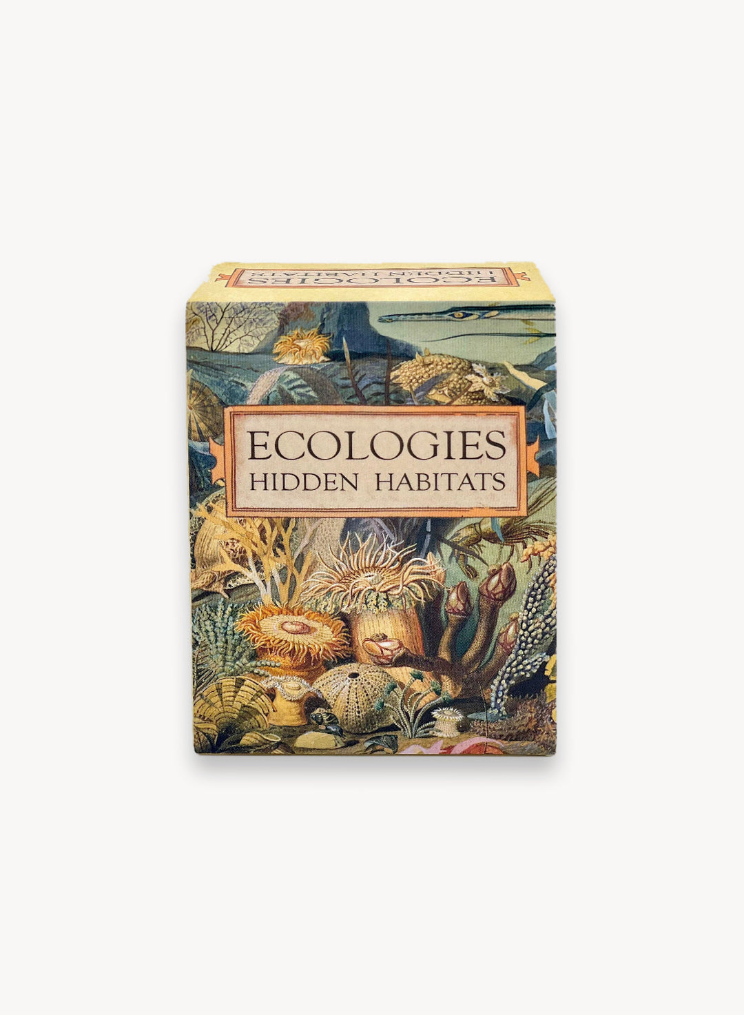 Ecologies: Hidden Habitats