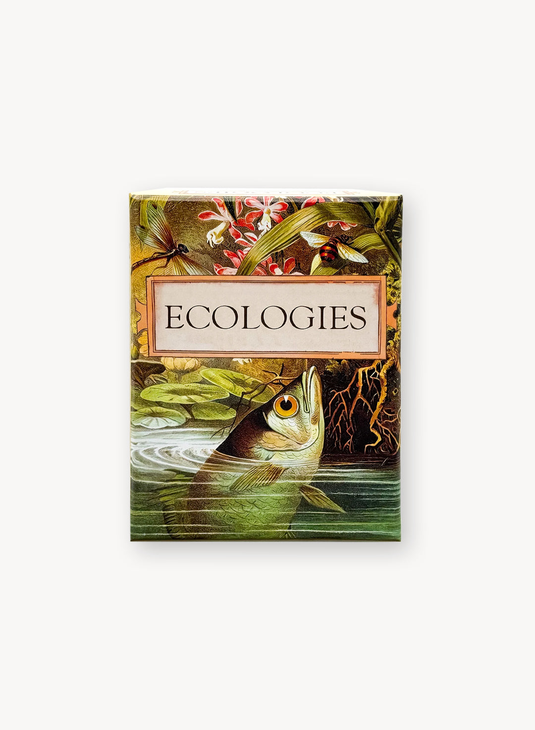 Ecologies Card Game