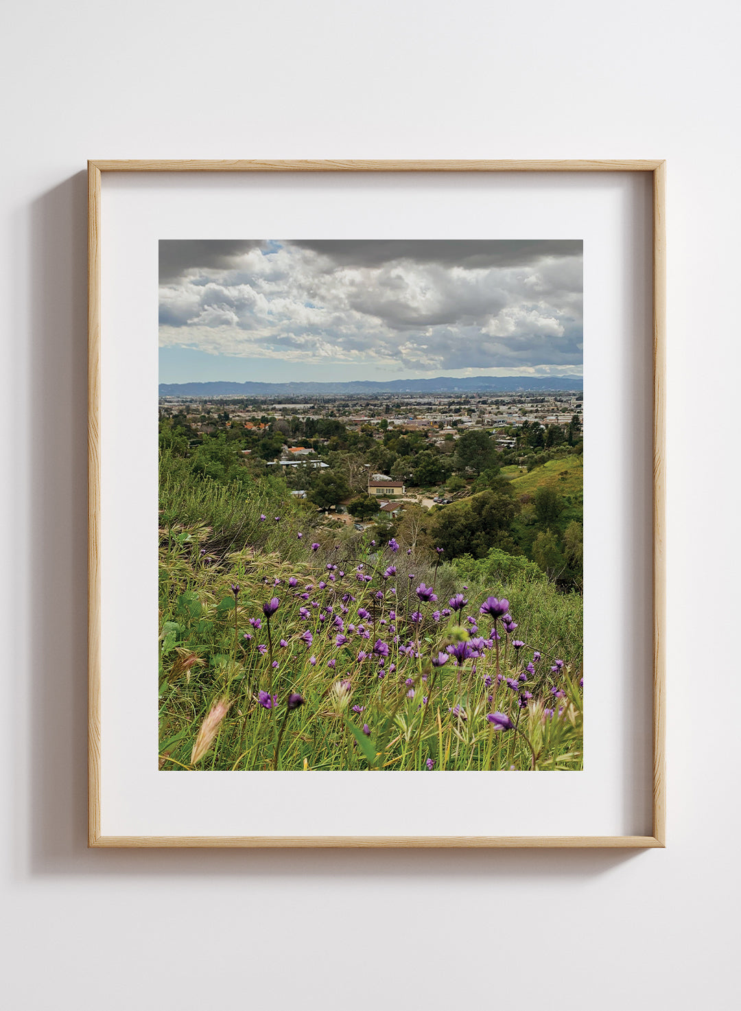 Erik Blank - View from Wildflower Hill Print