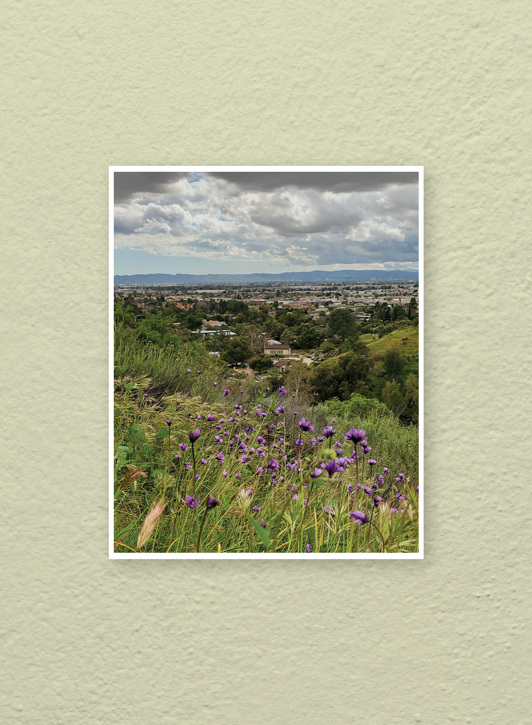 Erik Blank - View from Wildflower Hill Print