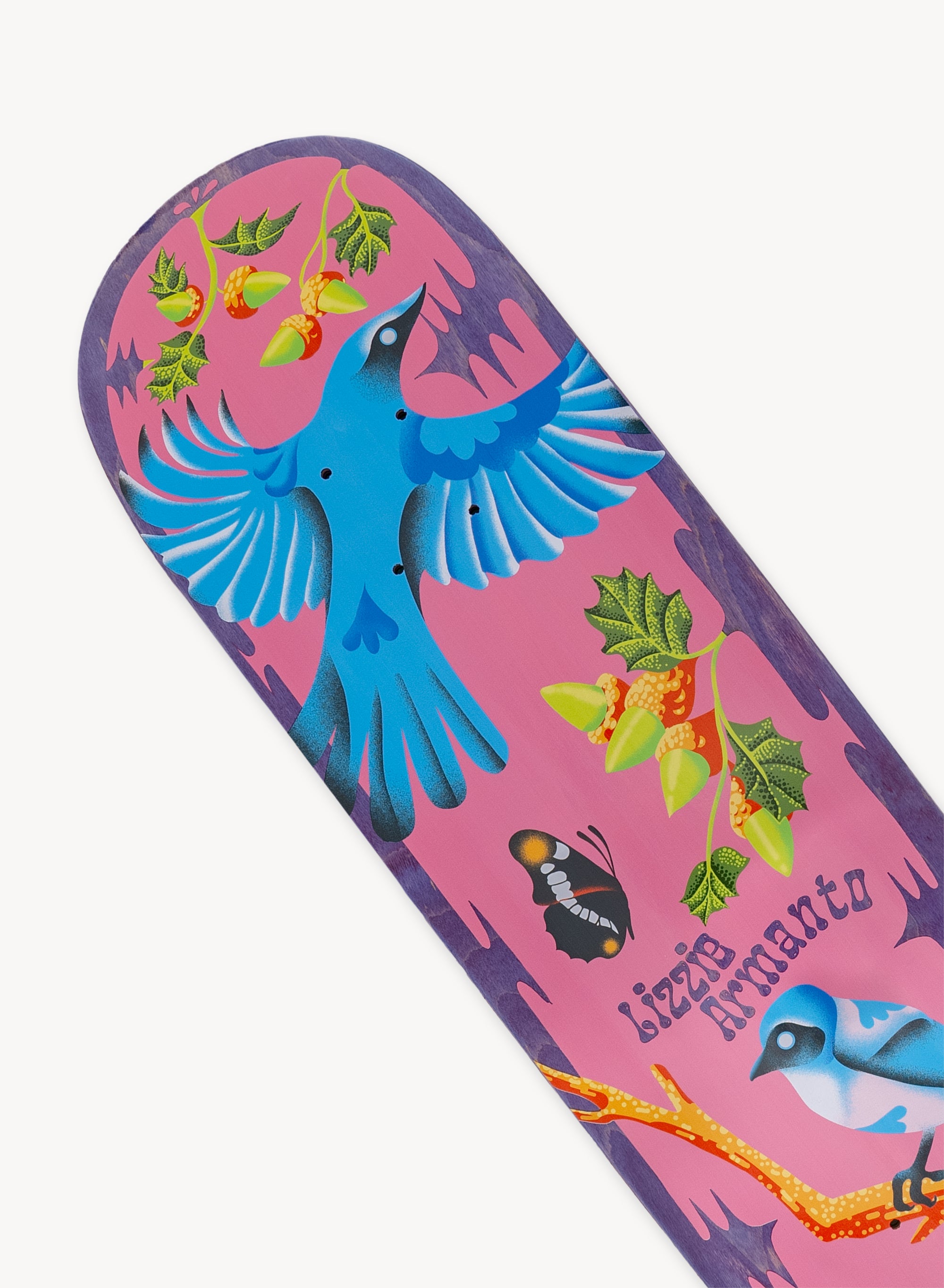 Lizzie Armanto x Theodore Payne x Birdhouse Skateboard Deck