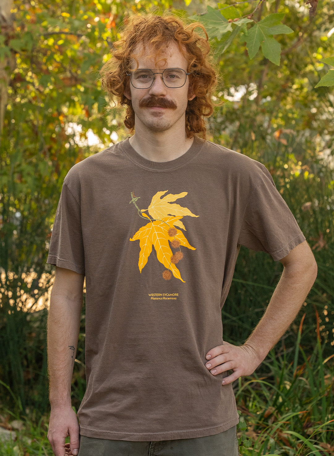 Sycamore T-Shirt