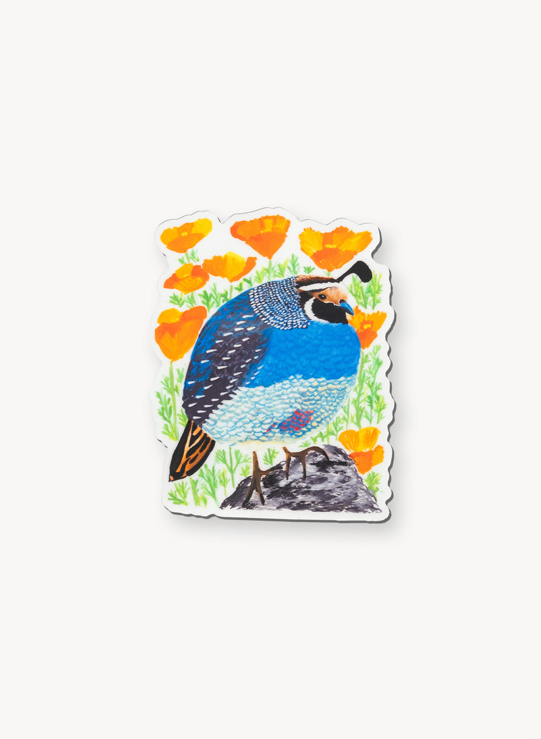 California Quail Magnet